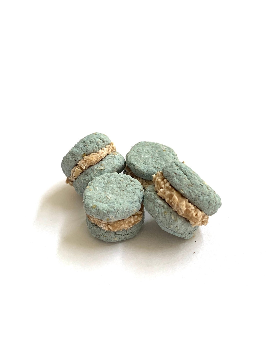 Large Blue Spirulina Macaroon Treat Banana & Oat Treat for Rabbits, Guinea Pigs, Hamsters, and