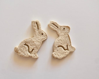 Bunny Bundle Treats | All Natural Banana Treat for Rabbits, Guinea Pigs, Hamsters, and any Small Pet | Small Pet Treat