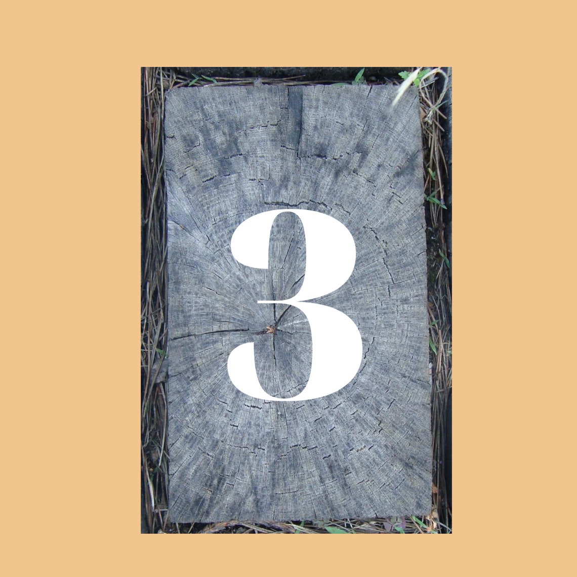 Printable nature numbers 010 Forest prints photo baby room Etsy