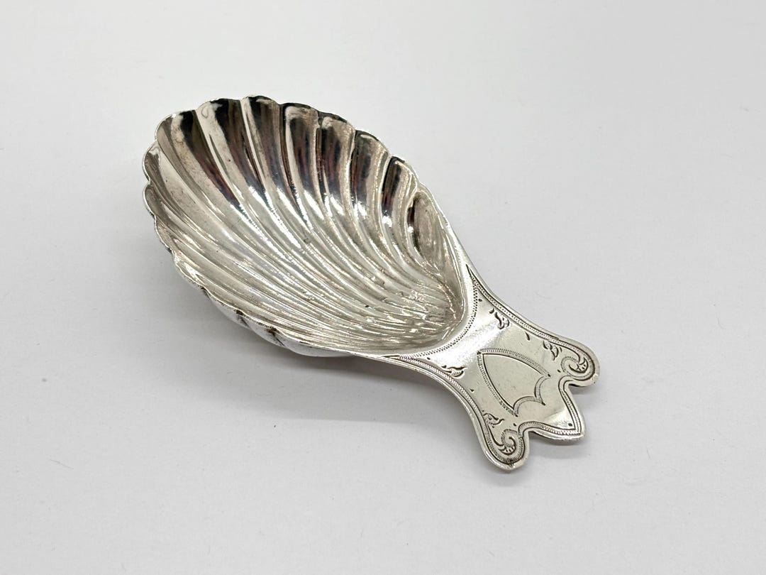 Antique Solid Silver Tea Caddy Spoon With Scalloped Shell Bowl and ...