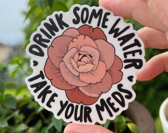 Mental Health Vinyl Sticker, Drink Some Water, Take Your Meds Sticker, Positive Quotes, Positive Stickers, Friendly Reminder Stickers, Roses