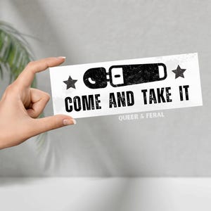 Passenger Princess Bumper Sticker, Unhinged Bumper Sticker, Funny Bumper Stickers, Satire Decal, Terrible Driver Bumper Stickers