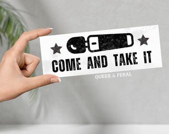 Bumpersticker passagiersprinses, bumpersticker losgeslagen, grappige bumperstickers, satiresticker, bumperstickers verschrikkelijke bestuurder