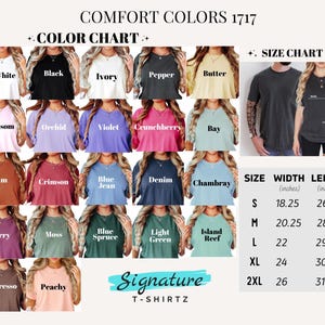 The image is a color chart and size chart for a collection of T-shirts, displaying various colors and corresponding sizes.