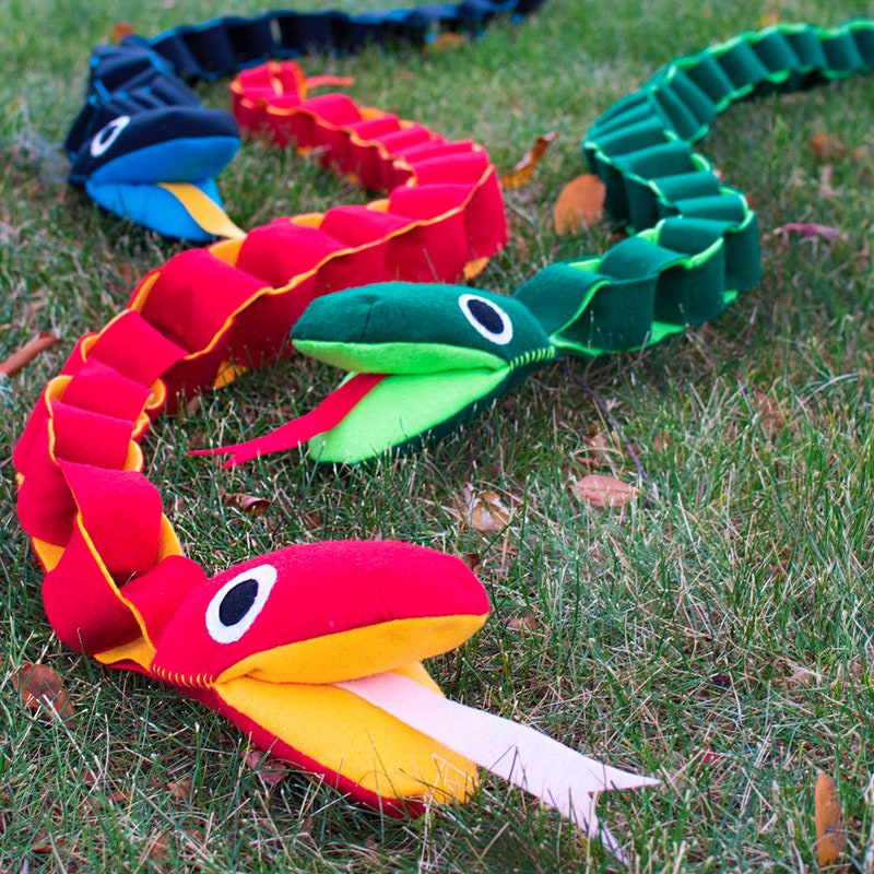 Coral Snake Pattern - Etsy