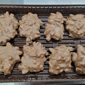 Milk or Dark Chocolate Pecan Caramel Turtles Candy