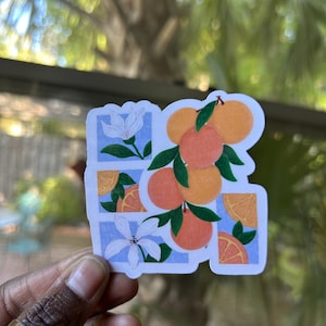 Adesivo arance della Florida / adesivo agrumi / adesivo fiori d'arancio per bottiglie d'acqua, computer portatili e amanti dei viaggi, souvenir della Florida