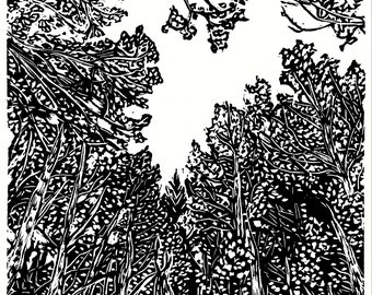 Aspen Canopy print - linocut, black