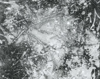 Estampa Forest Floor 2 - monotipo, negro