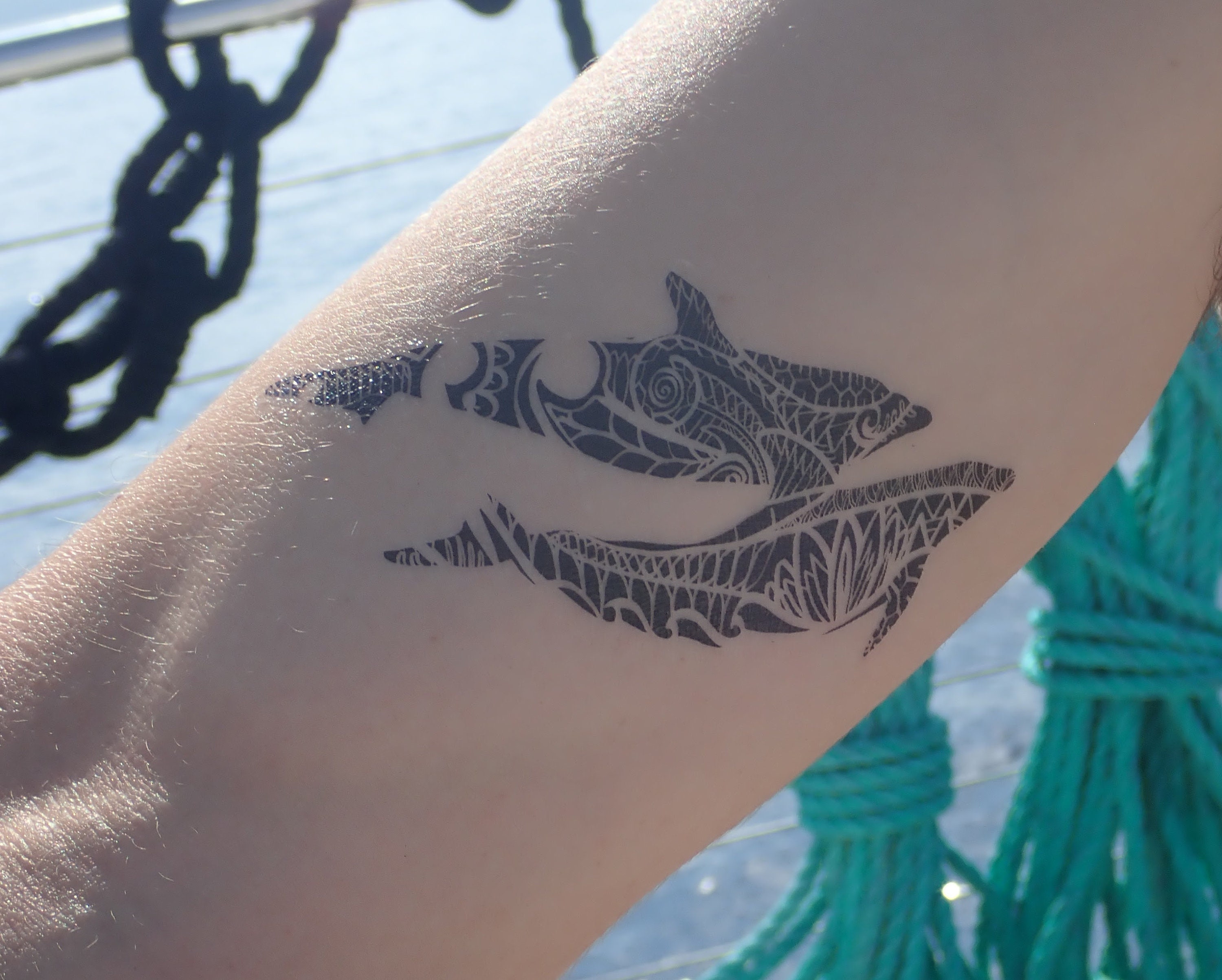 Miami Dolphins Tattoos  tattoo art gallery
