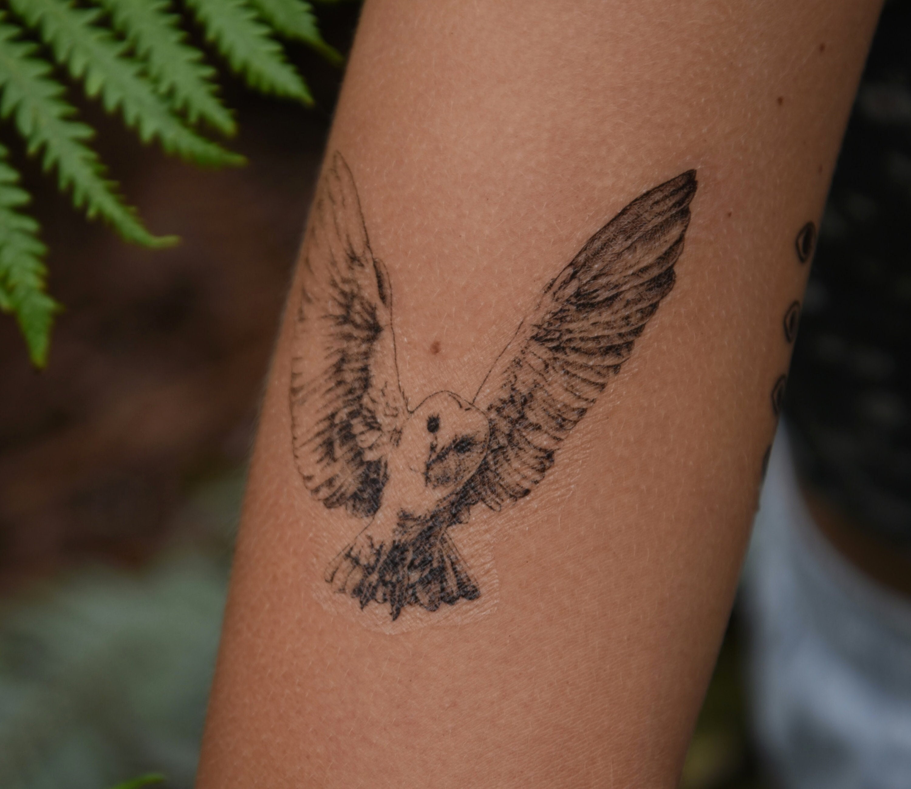 Owl Temporary Tattoos  Tagged ColorMulticolor MyBodiArt