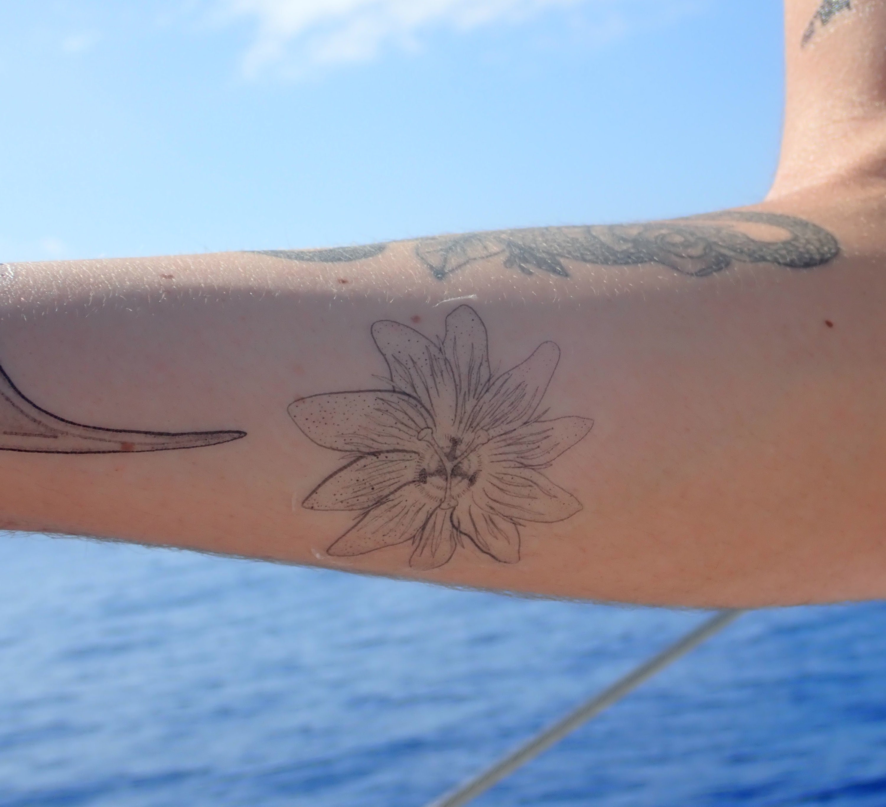 Buy A Passionate Bloom Temporary Tattoo elenas Art Online in India - Etsy Buy A Passionate Bloom Temporary Tattoo elenas Art Online in India - Etsy