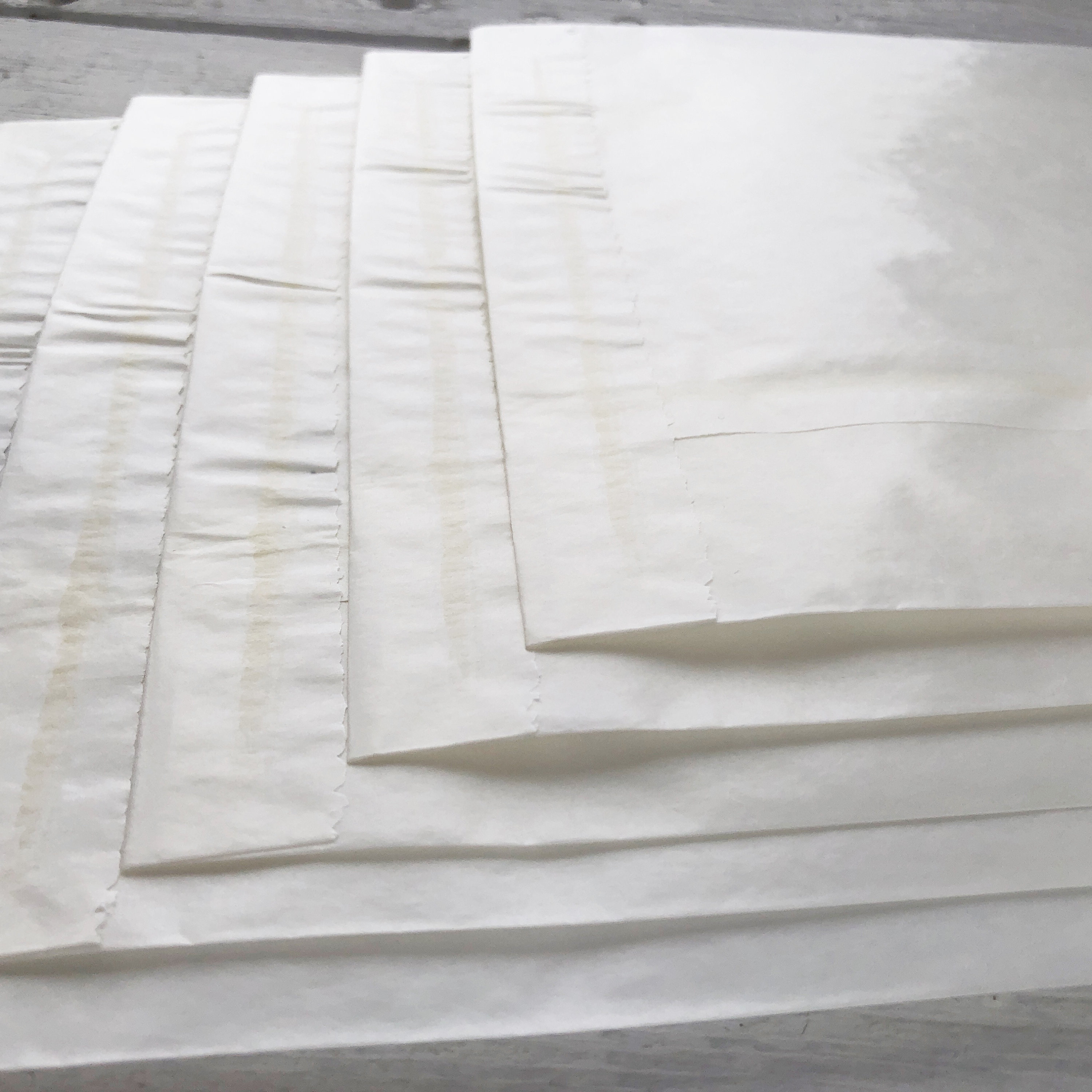 Large Glassine Bags 5.5 x 8.25 inches Frosted Translucent Wax Etsy