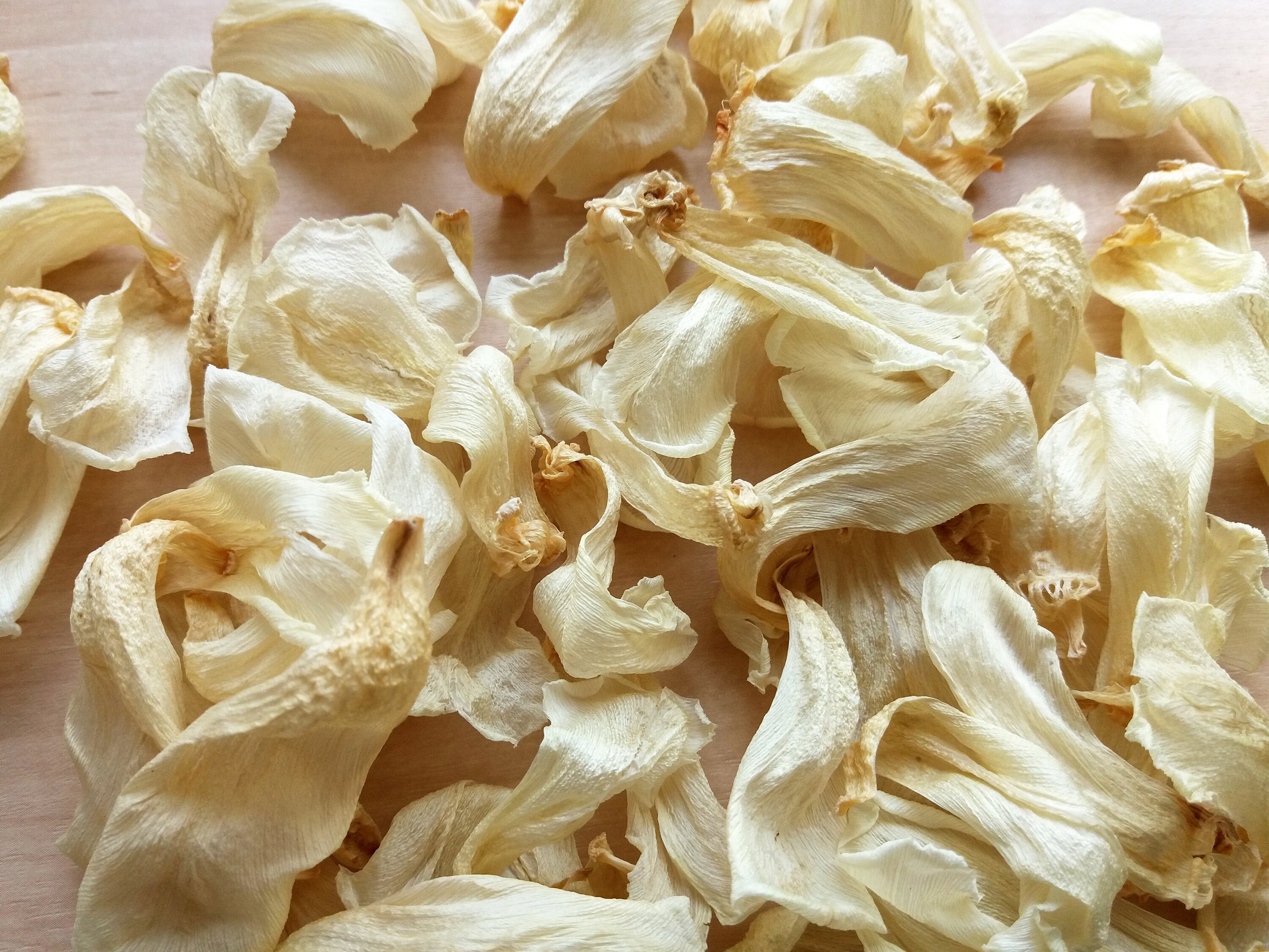 Dried Tulip Petals Peal Dry Tulip Flowers Resin Jewelry Etsy