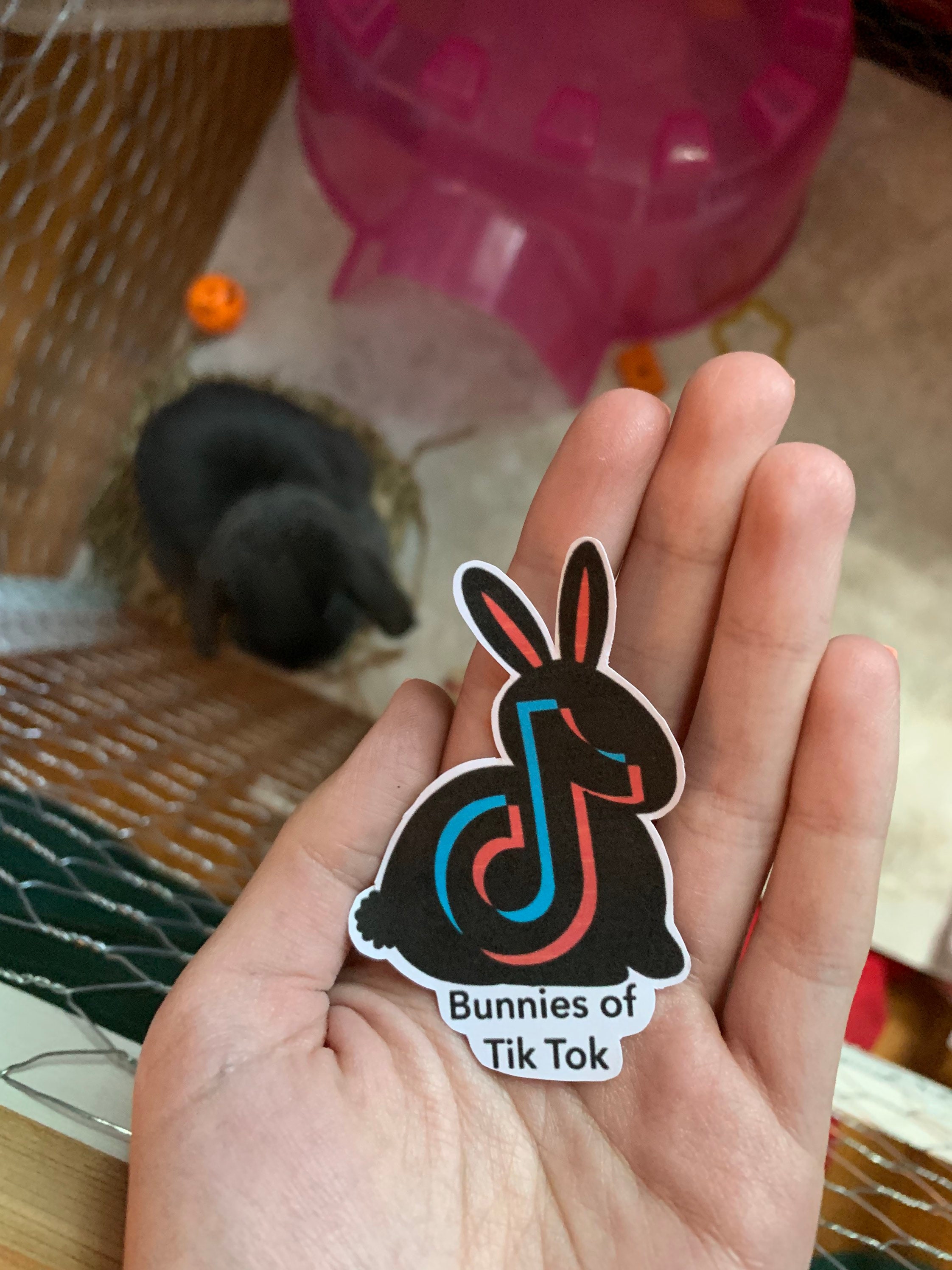 Tik Tok Pegatina Bunnies de Tik Tok Pegatina Tik Tok Etsy España