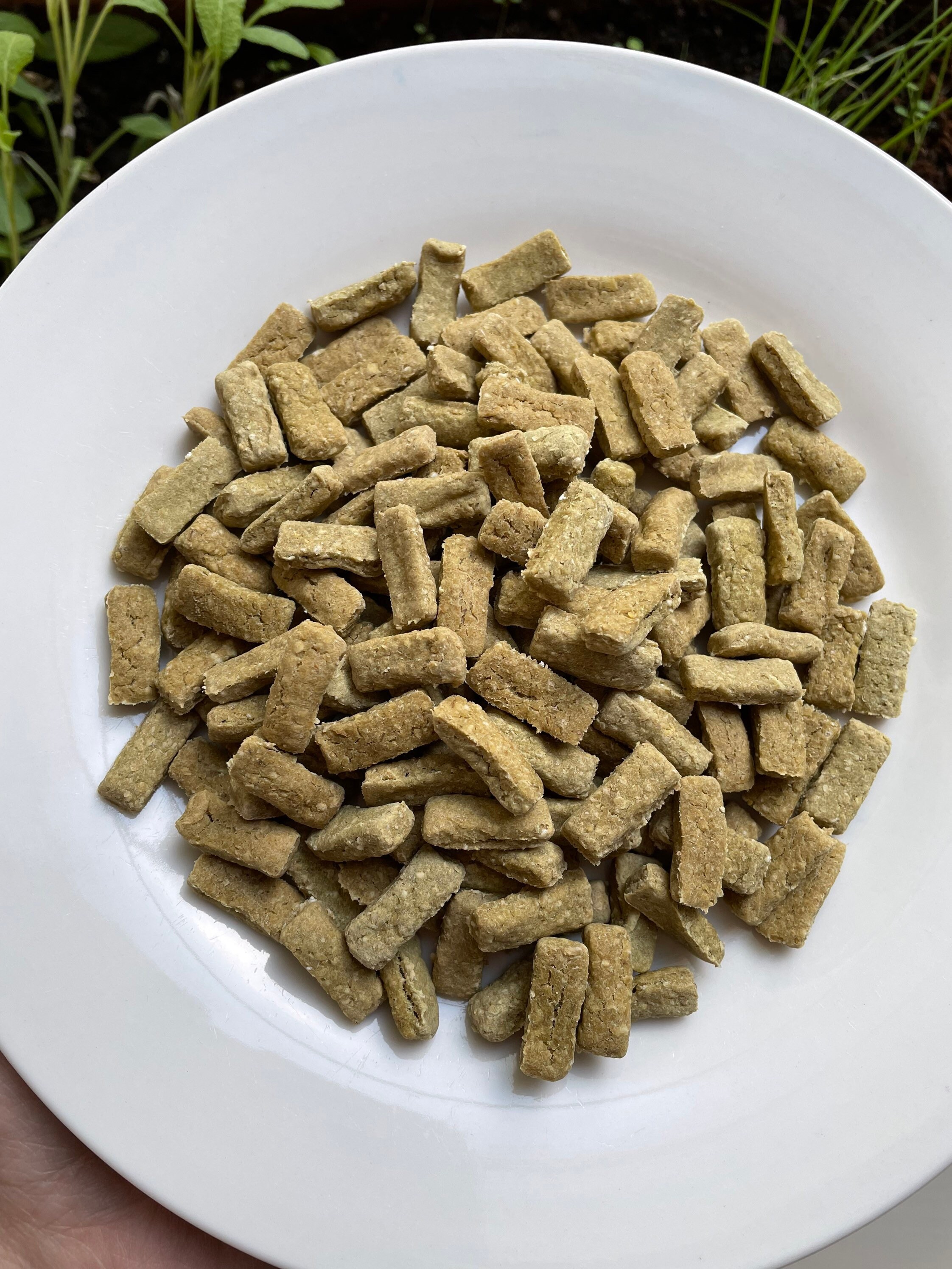 Pet Food & Treats Thyme Treats for Rabbits Thyme Snack Bars for Bunnies