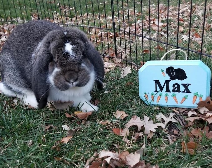 Bunny Rabbit Hand Sign Bunny Name Sign, Decor for Bunnies, Decoration for Rabbits, Rabbit Name ...