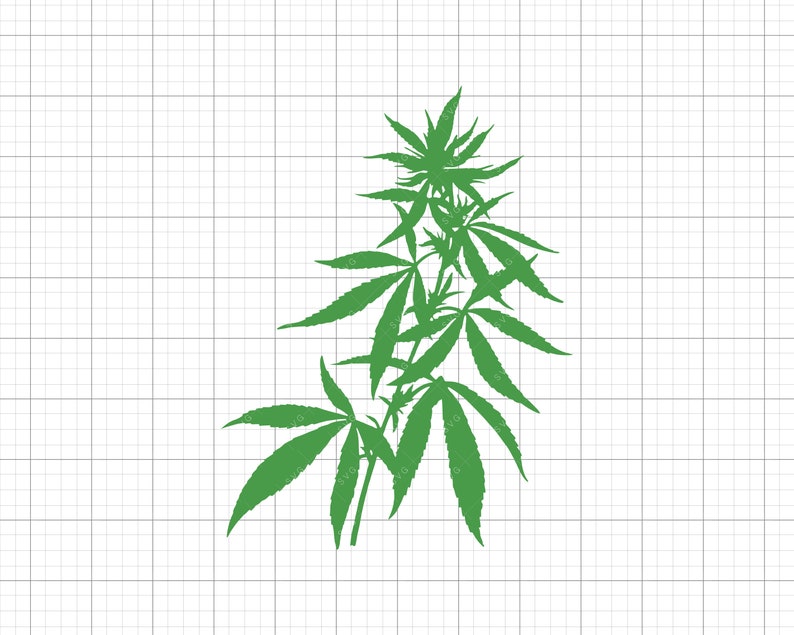 Cannabis Plant SVG Cut File Cricut Instant Download | Etsy