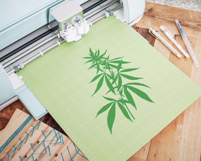 Download Cannabis Plant SVG Cut File Cricut Instant Download | Etsy