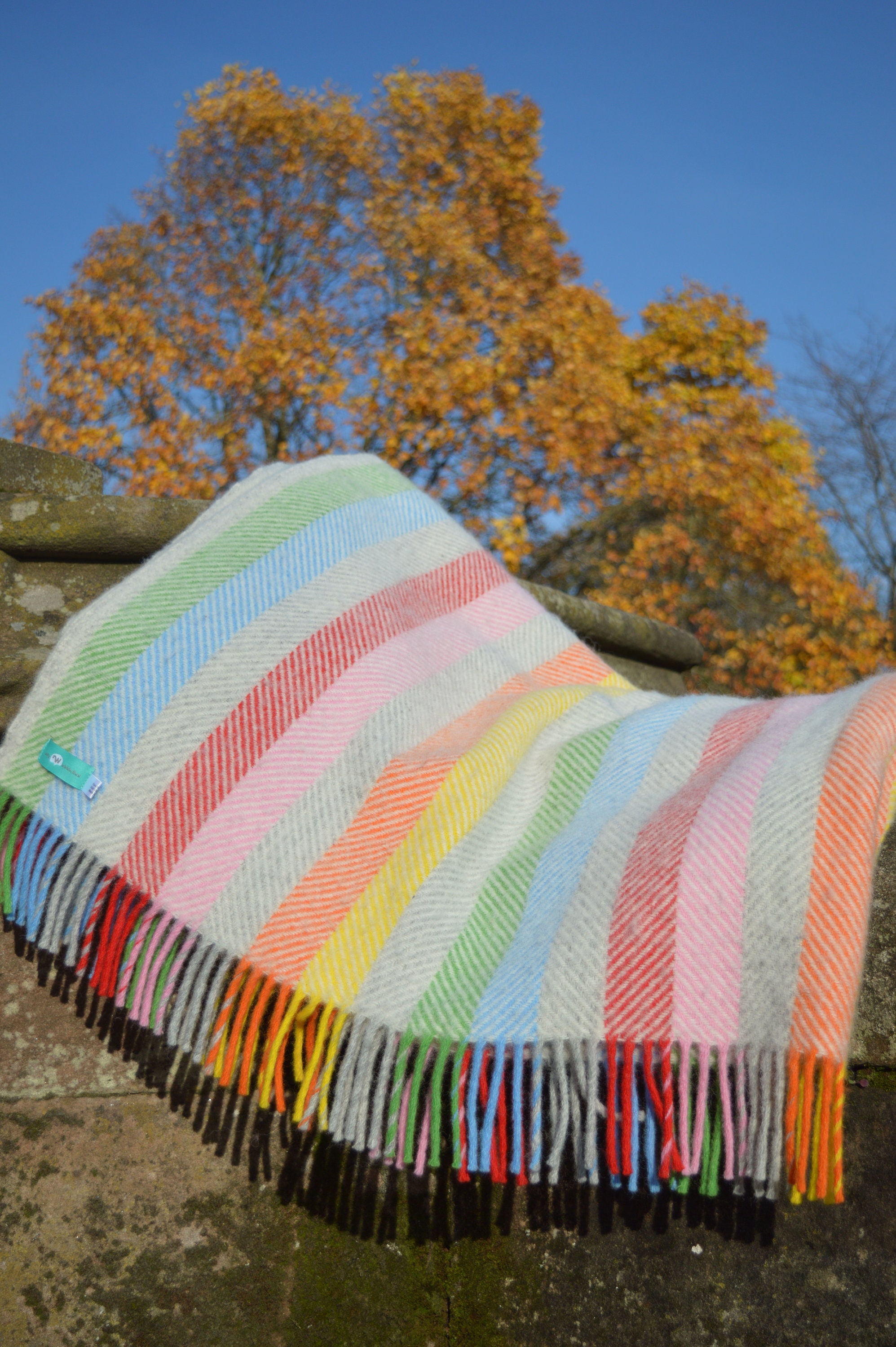 Rainbow herringbone blanket hotsell