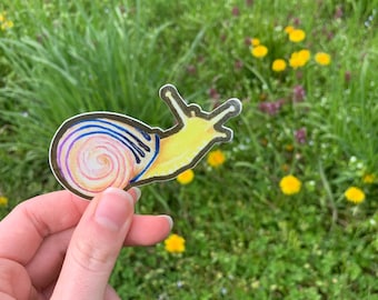 Snail Sticker, Laptop Decal