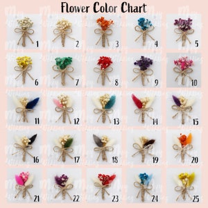 Pu&ograve; includere: Una tabella di colori di fiori intitolata Flower Color Chart che mostra venticinque piccole bottoniere di fiori secchi in una griglia. Ogni bottoniera &egrave; legata con spago e numerata da uno a venticinque, con colori vari tra cui bianco, arancione, blu, rosso e rosa.