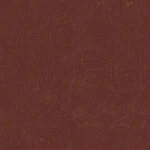 U.S. National Parks Cotton Fabric by the Yard - Topographic Brown - Riley Blake C13293-BROWN
