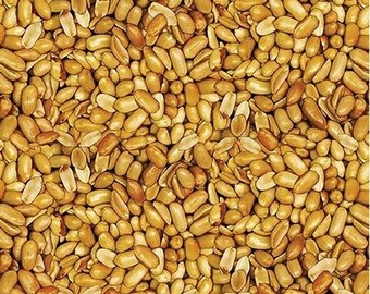 Nuts Cotton Fabric by the Yard - Ale House Beer Nuts Natural - Benartex 12747 70