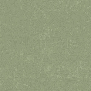 U.S. National Parks Cotton Fabric by the Yard - Topographic Green - Riley Blake C13293-GREEN