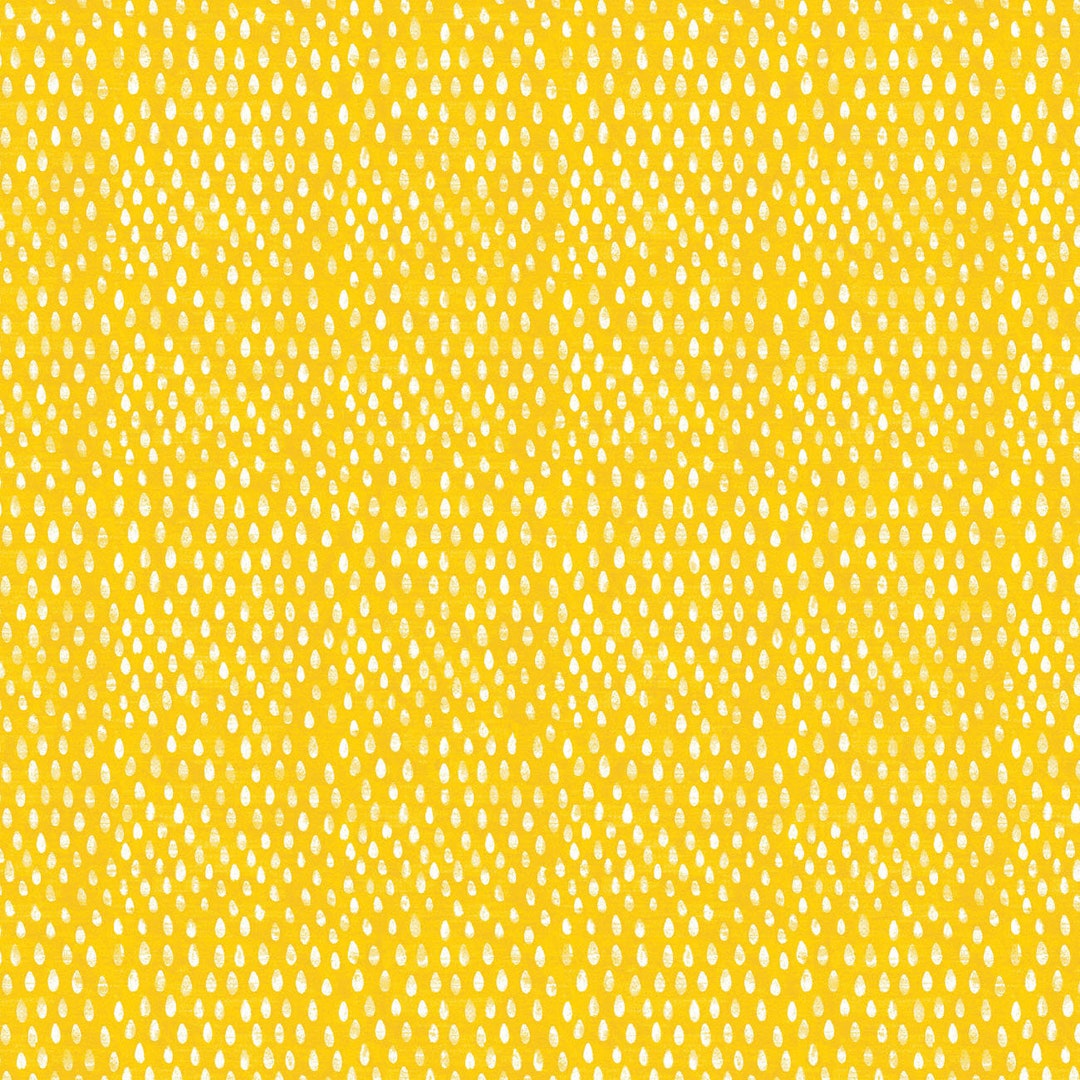 Wind Rose　　JOSEPH FINX COTTON / RAY White Wrinkled Cotton Gauze, Double Gauze, White Gauze