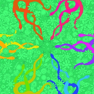 May include: A vibrant, psychedelic illustration featuring colorful snakes in a circular pattern. The snakes, in shades of red, orange, yellow, green, blue, purple, and pink, are set against a green floral background.
