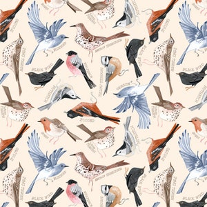 Bird Cotton Fabric by the Yard - Bird Song Birds Cream  - Dear Stella 2373CREAM