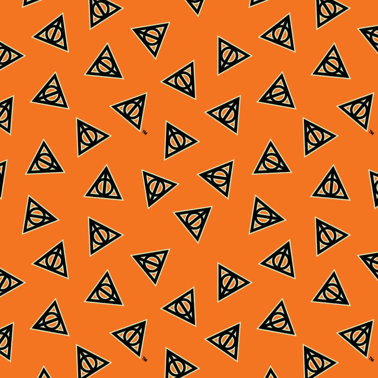 ARCH ウォームアップウェア Mサイズ
