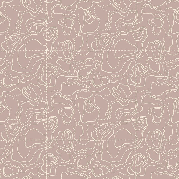 Topography Cotton Fabric by the Yard - Wildwood Wander Topography Taupe - Riley Blake C12434-TAUPE