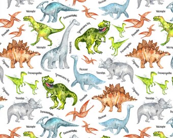 Dinosaur Cotton Fabric by the Yard - Multicolor Dinosaurs on White - Timeless Treasures C7219-WHT