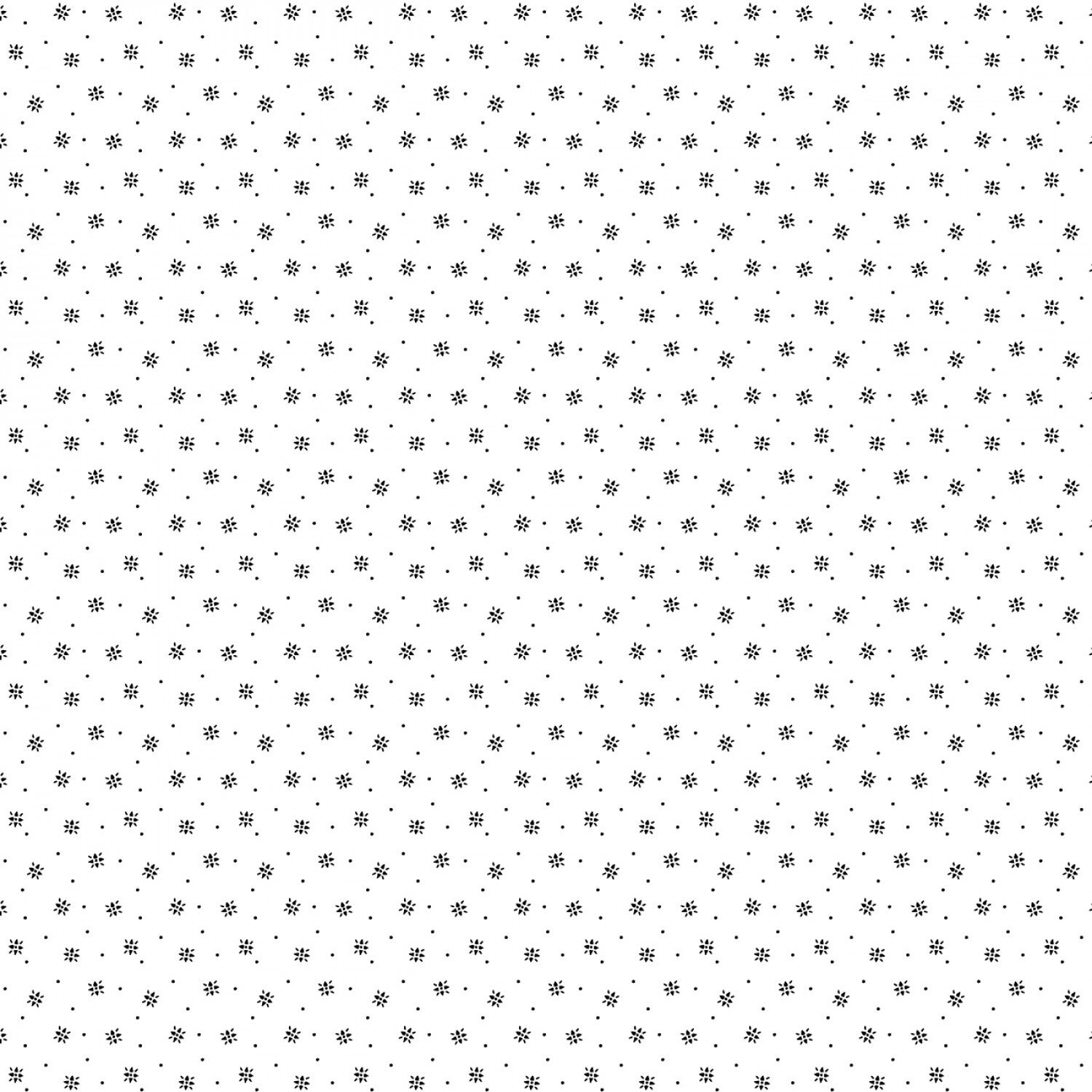 Windham Fabrics FBY42283 Windhams Spackle Backing - Black & White