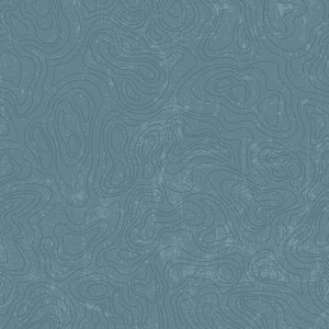 U.S. National Parks Cotton Fabric by the Yard - Topographic Blue - Riley Blake C13293-BLUE