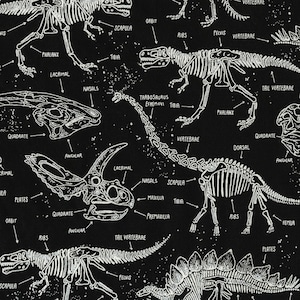 Dinosaur Fabric by the Yard - Fossil Labeled Bones on Black - Timeless Treasures CG5797-BLK