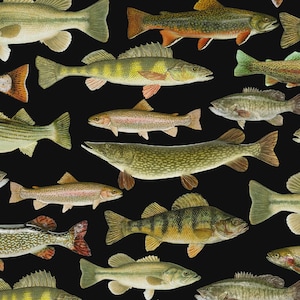 May include: A fabric pattern featuring a variety of freshwater fish illustrations, including trout, perch, and pike, arranged in a repeating design against a solid black background. The fish are rendered in realistic colors of green, gold, and silver.