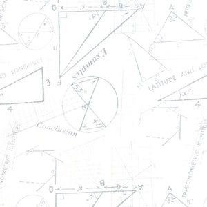 May include: A white background with a blue geometric pattern of triangles, circles, and squares. The pattern includes the words "Examples", "Conclusion", "Latitude and Longitude", and "Trigonometric Identities".