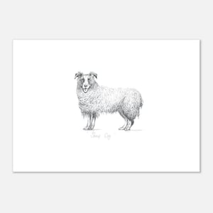 Sheep Dog - A3 Print