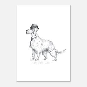English Setter - A3 Print