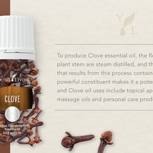 May include: A bottle of Young Living Clove essential oil with a white cap, surrounded by clove buds. The label reads "CLOVE" and "100% Pure, Therapeutic-Grade Essential Oil, 0.5 fl oz (15 ml)." The background is a light brown.