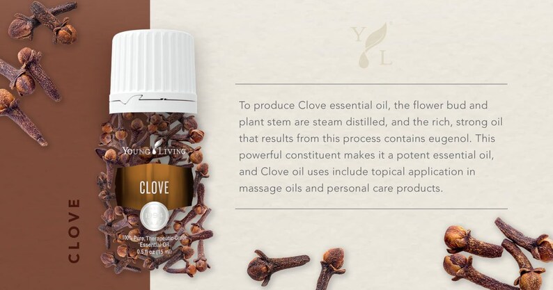 May include: A bottle of Young Living Clove essential oil with a white cap, surrounded by clove buds. The label reads "CLOVE" and "100% Pure, Therapeutic-Grade Essential Oil, 0.5 fl oz (15 ml)." The background is a light brown.