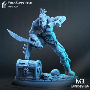 Pirate Miniature | Tabletop RPG Miniature | Miniatures Blueprint | Roleplaying 3D Printed Fantasy Mini