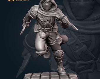 Może przedstawiać: Szara miniaturowa figurka zamaskowanego łotrzyka, trzymającego dwa sztylety. Figurka jest w dynamicznej pozie, jakby biegła, z szczegółową zbroją i sakwami. Podstawa ma kamienną fakturę. Logo "Galaad Miniatures" znajduje się w lewym górnym rogu.