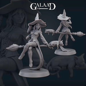 May include: A grey sculpture of a witch riding a broom, with a cat. The witch is wearing a hat and boots. The sculpture is on a round base. The word "GALAAD" is at the top of the image.