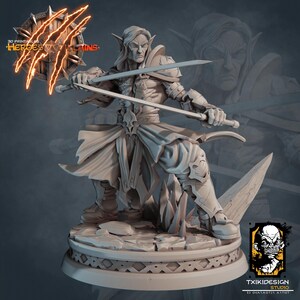 May include: A detailed figurine of a fantasy warrior elf, holding two swords and a shield with claw marks and the text "Heroes & Villains". The figure is light gray and stands on a detailed base, showcasing intricate armor and flowing fabric.