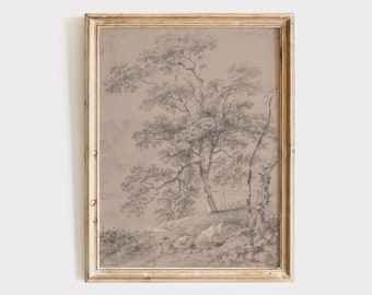 Vintage Tree Sketch, Antique Tree Drawings, Botanical Art, Farmhouse Art Set, Nature Sketch,