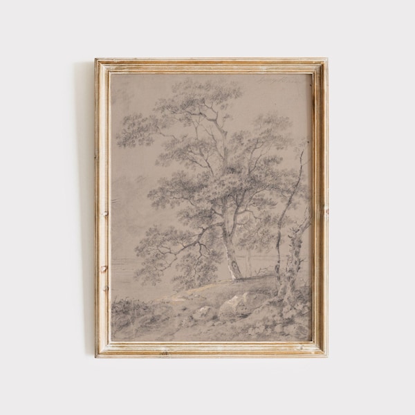 Vintage Tree Sketch, Antique Tree Drawings, Botanical Art, Farmhouse Art Set, Nature Sketch,